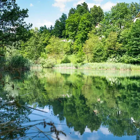 Apartma Mimi Homestay szállás Radovljica