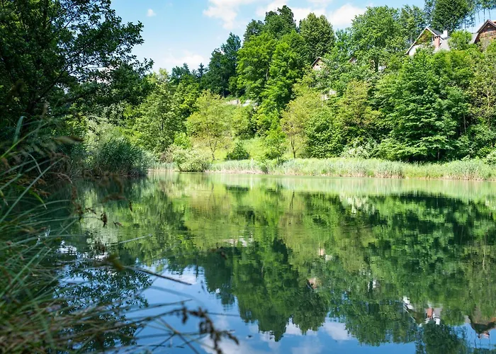 Apartma Mimi Privat bolig Radovljica